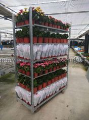 Grow Seeding قفسه های گیاهان خانگی واگن برقی گلدان HDG دانمارکی W565mm