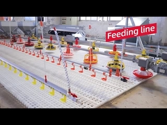 فروش گرم تجهیزات مرغداری طرح قفس مرغ اتوماتیک