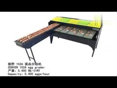 دستگاه درجه بندی تخم مرغ