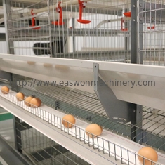 تجهیزات مرغداری اتوماتیک Q235 قفس های لایه ای مرغ برای مرغ های تخمگذار