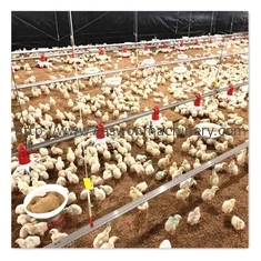 تجهیزات کامل اتوماتیک مرغداری کنترلر قفس مرغ گوشتی T607