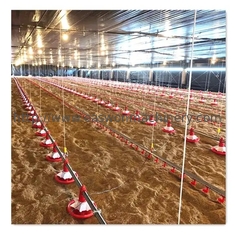 تجهیزات کامل اتوماتیک مرغداری کنترلر قفس مرغ گوشتی T607