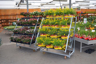 نمایش چرخ دستی 500 کیلوگرمی گیاهی بر روی چرخ ، ISO Flower Rack در فضای باز