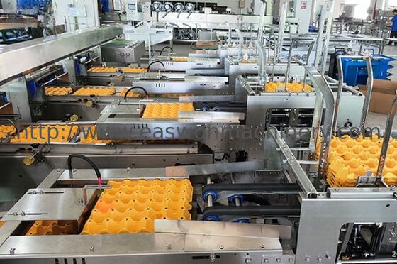 30,000 Eggs/hour LED Candling Electronic Egg Grading Sorting Machine